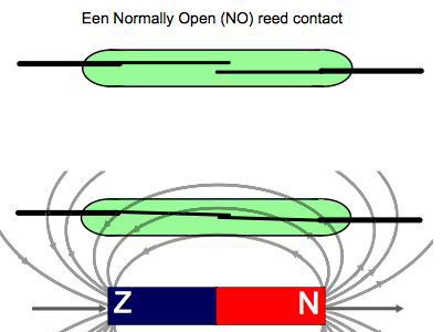 Reedcontact